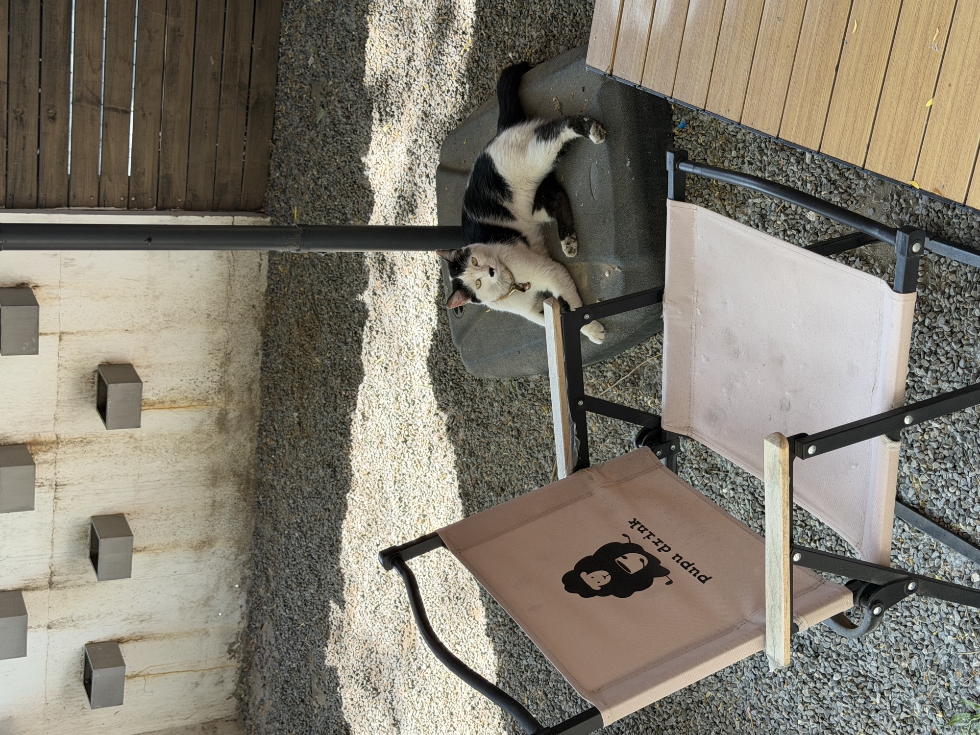 PUPU广渠路店室内空间